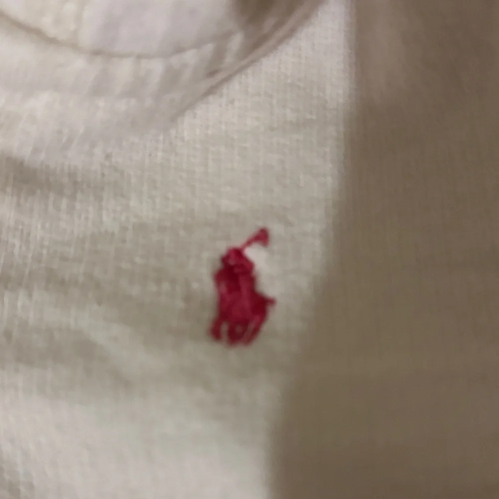 Ralph Lauren Off-White Kids Hoodie with Embroidered Crest 9m